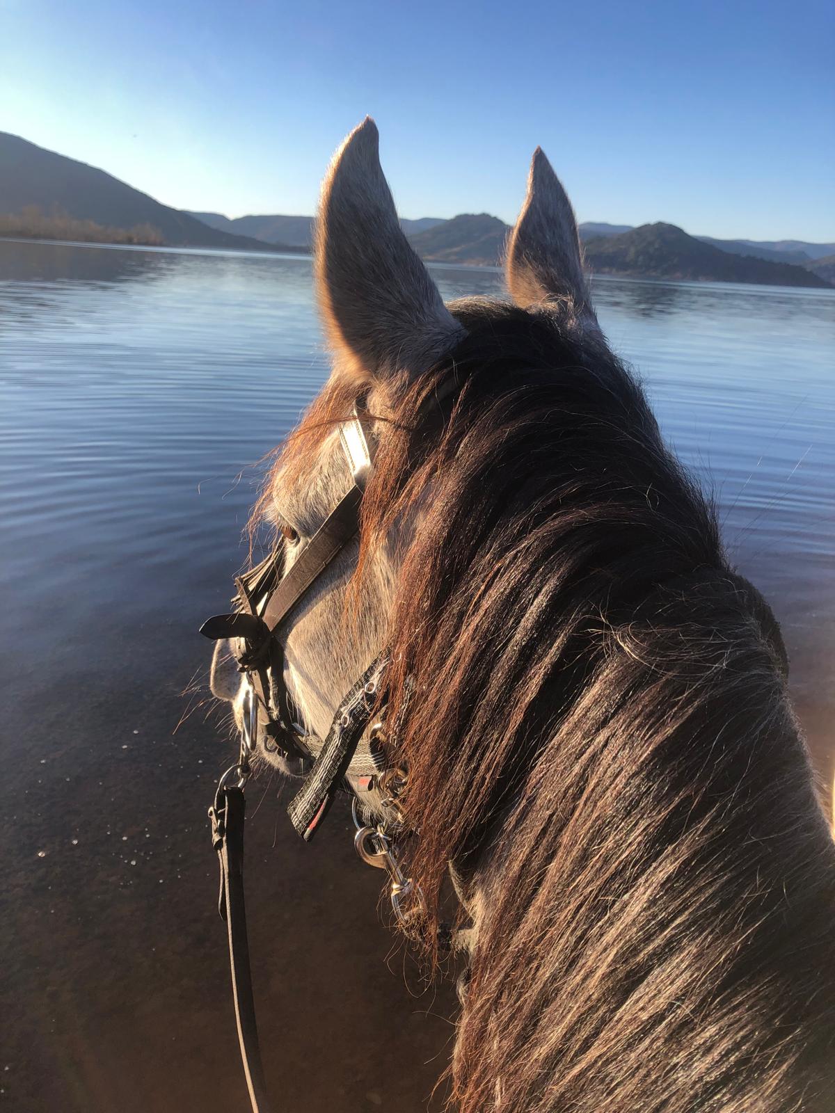 Cavalier au Lac du Salagou, à 20 minutes du gîte L'Arche du Négadis